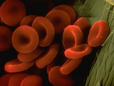 Scientists Shed Light on Evolution of Gene Regulation