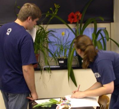 Cooperative Learning