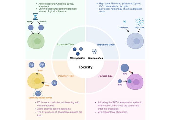 Major determinants of micro/nanoplastic toxicity