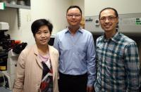 The Research Team