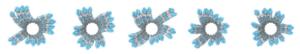 Cellular scaffolding secrets unlocked