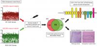 Study: Gene Fitness Landscape of Group a Streptococcus During Necrotizing Myositis
