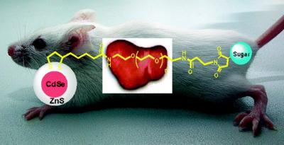 Quantum Dots