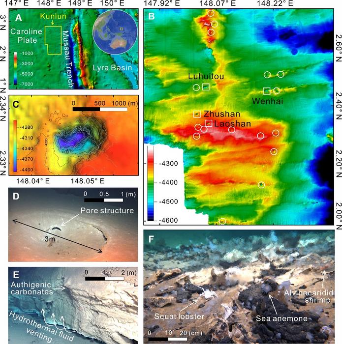 Hydrothermal activities and distribution of pipe swarms on the subducting plate near the Mussau Trench