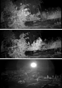 Solar-powered LED motion-sensor light interacting with various animals