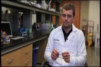 Negative Poisson's Ratio: a Rare Find in Battery Materials