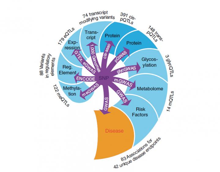 Interaction Network