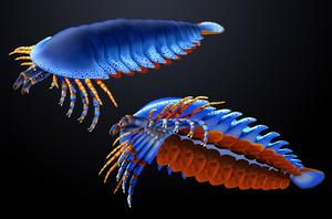 Artistic Reconstruction