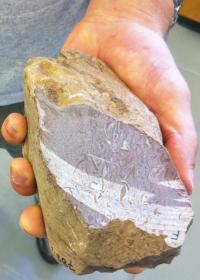 Maloof with Rock