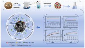 Sulfur-ferrihydrite-modified biochar for simultaneous immobilization of arsenic and cadmium in co-contaminated water/soil: performance and mechanisms