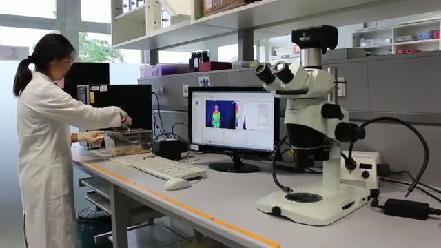 Finally, the Brain Sensor That Turns Down the Heat (1 of 3)