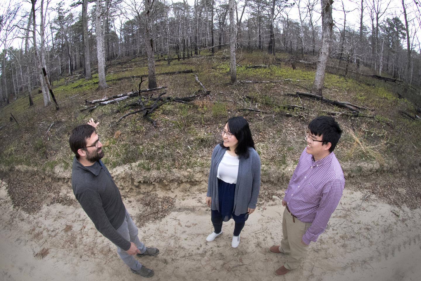 Shawn Serbin (Brookhaven Lab), Feng Zhao (University of Maryland, College Park) and Ran Meng (Brookhaven Lab)