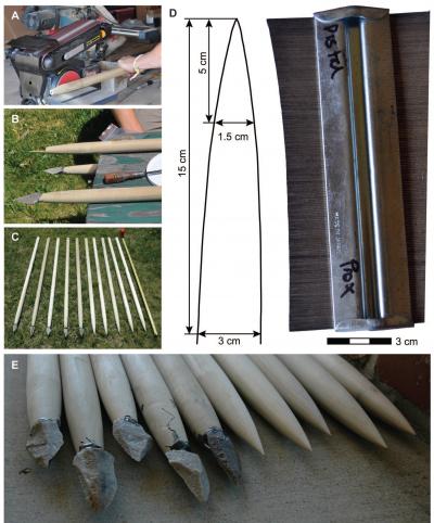 Stone-Tipped and Wooden Spear Points