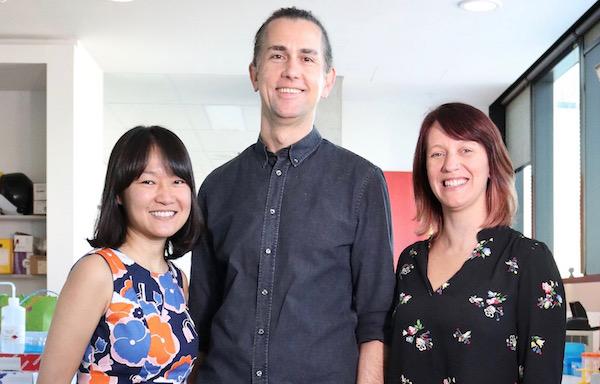 Research Team