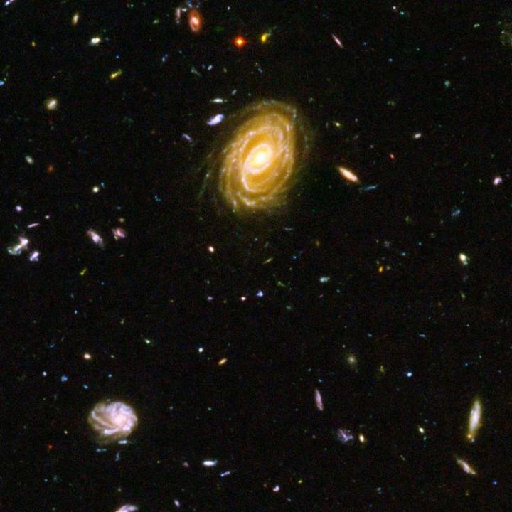 Distant Galaxies Forming Stars