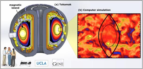 Tokamak Magnetic Islands