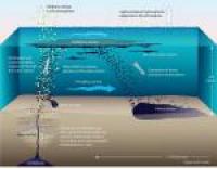 A Graphic Depicts What Happens to the Oil, From Seep to the Fallout Plume