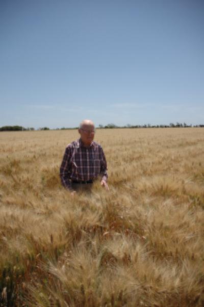 Norman Borlaug in Obregon