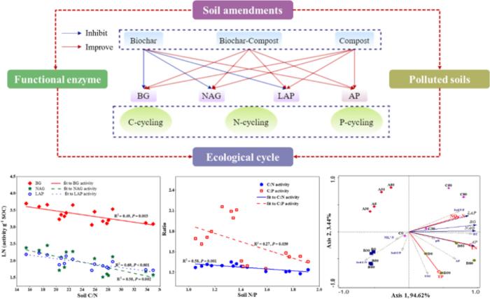 Potential implications of biochar and compost on the stoichiometry-based assessments of soil enzyme activity in heavy metal-polluted soils