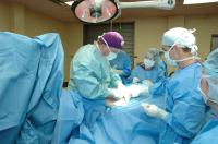 Cruciate Ligament Repair at K-State (2 of 2)