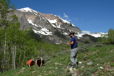 Building a Precious Record of Climate Change, 1 Bloom at a Time