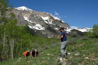 Building a Precious Record of Climate Change, 1 Bloom at a Time