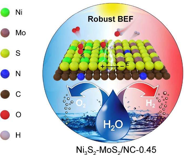 Mechanism diagram of Ni3S2-MoS2/NC for water splitting