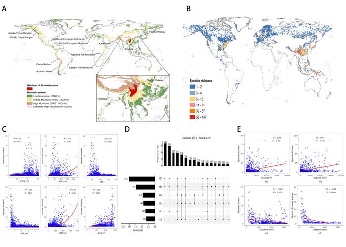 Global patterns of Rhododendron diversity and its influencing factors
