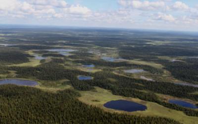 Russia's Imandra/Varzuga Greenstone Belt
