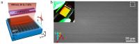 Figure 1 | High-speed micro/nanograting processing of GO film using the FPL strategy.
