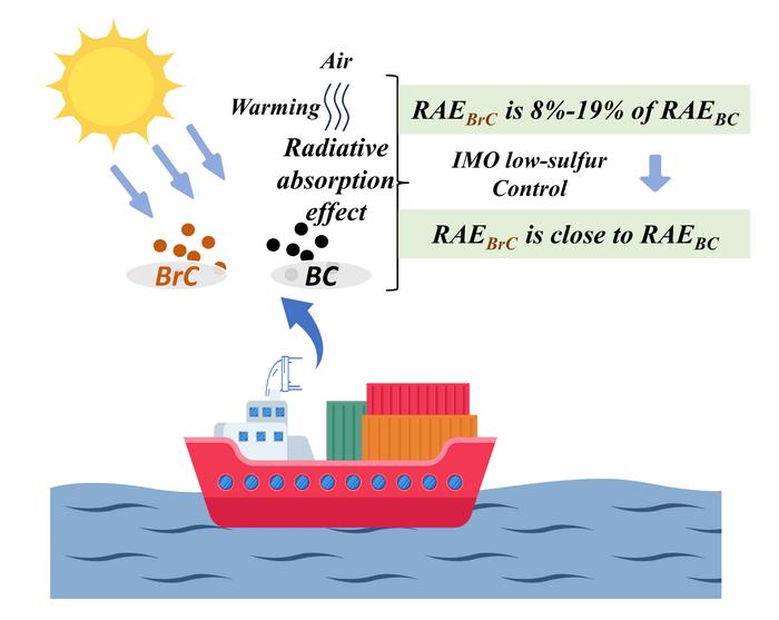Global distribution and warming effect of brown carbon from shipping emissions