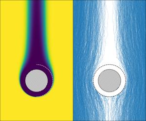 A visualization of the concentration of particles surrounding a sedimenting, absorbing sphere