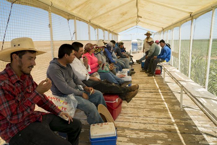 Farmworkers rest in shade trailer