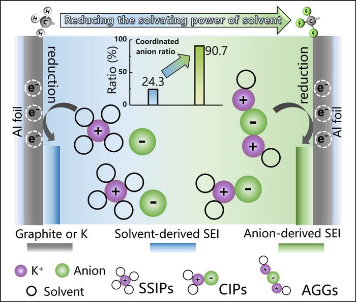Anion-rich solvation in weakly coordination electrolytes enhances PIB stability.