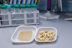 Astragali radix extracts