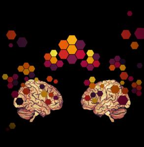 Collaborating minds think alike, processing information in similar ways in a shared task