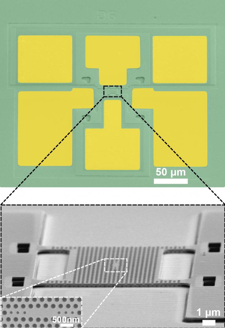 Electron Microscope Pictures of the Micro-spectrometer