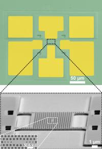 Electron Microscope Pictures of the Micro-spectrometer
