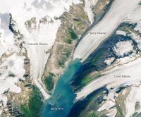 Barry Arm Glacier (2019)