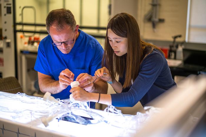 Stanford faculty Jeremy J. Heit and Renee Zhao