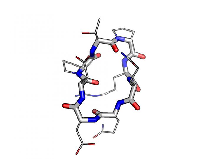 Designed Model for a Peptide
