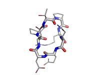 Designed Model for a Peptide