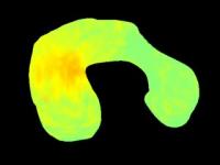 3-D Movie of Shear Stress Map
