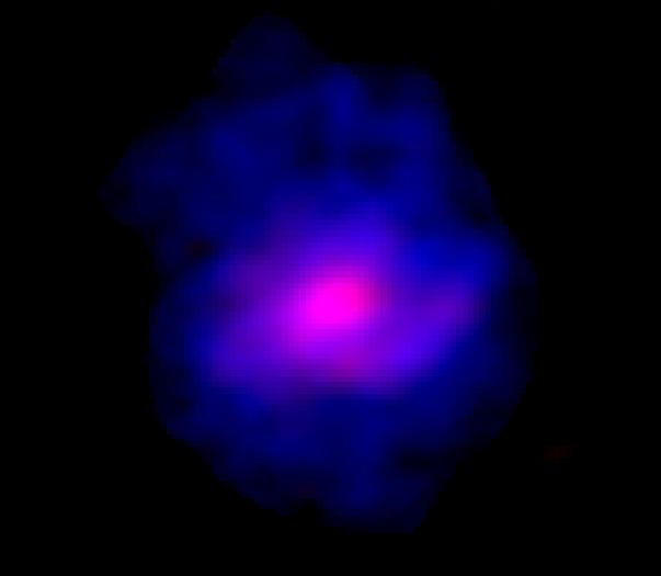 The galaxy ALESS 073.1