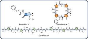 Cyclic Structures of Natural Products Found in Nature