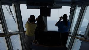 Tracking the fin whale and the sperm whale in the Mediterranean