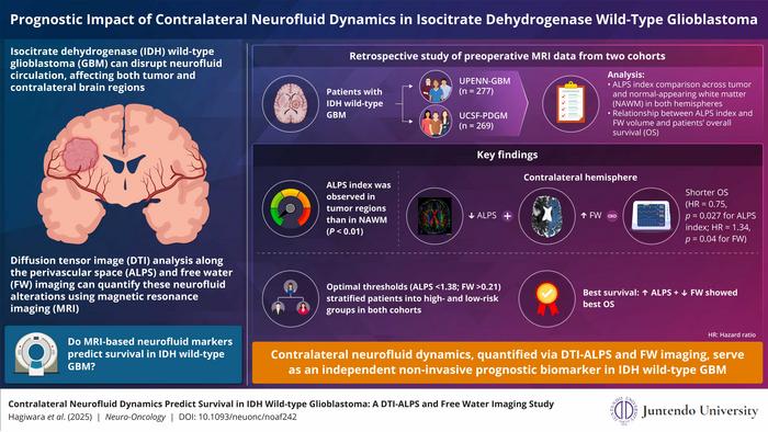 Prognostic impact of contralateral neurofluid dynamics in isocitrate dehydrogenase wild-type glioblastoma