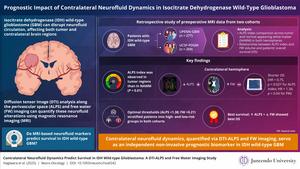 Prognostic impact of contralateral neurofluid dynamics in isocitrate dehydrogenase wild-type glioblastoma