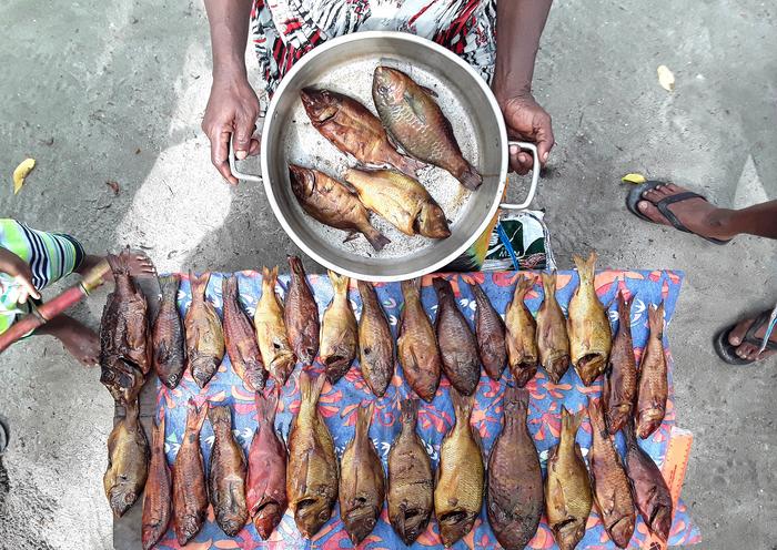 Fishing for food security