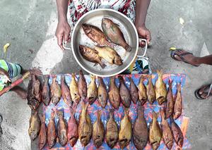 Fishing for food security